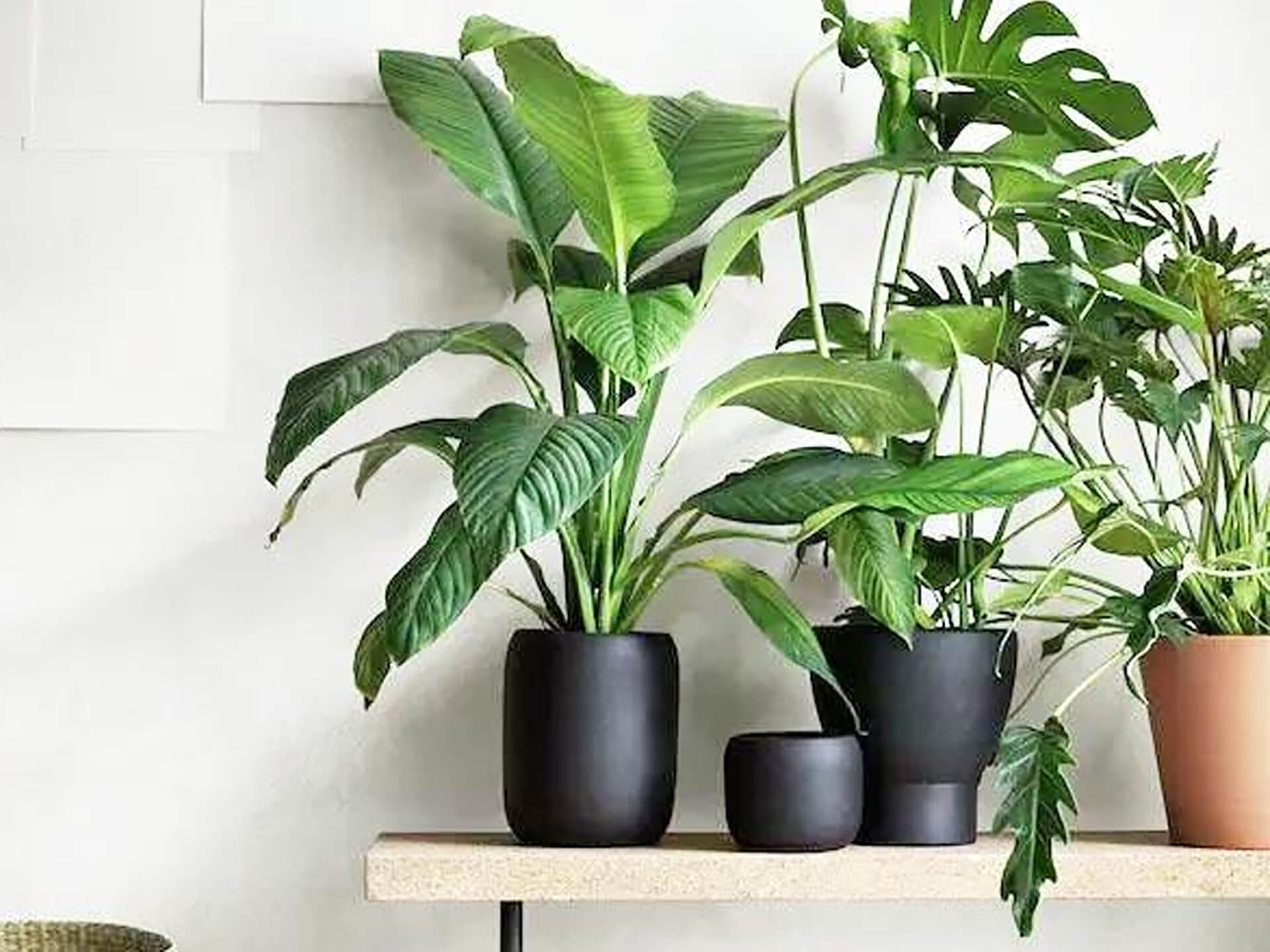 20210324/bfe4e8fff401da423614d359a577cd67.jpg 20210324/bfe4e8fff401da423614d359a577cd67.jpg